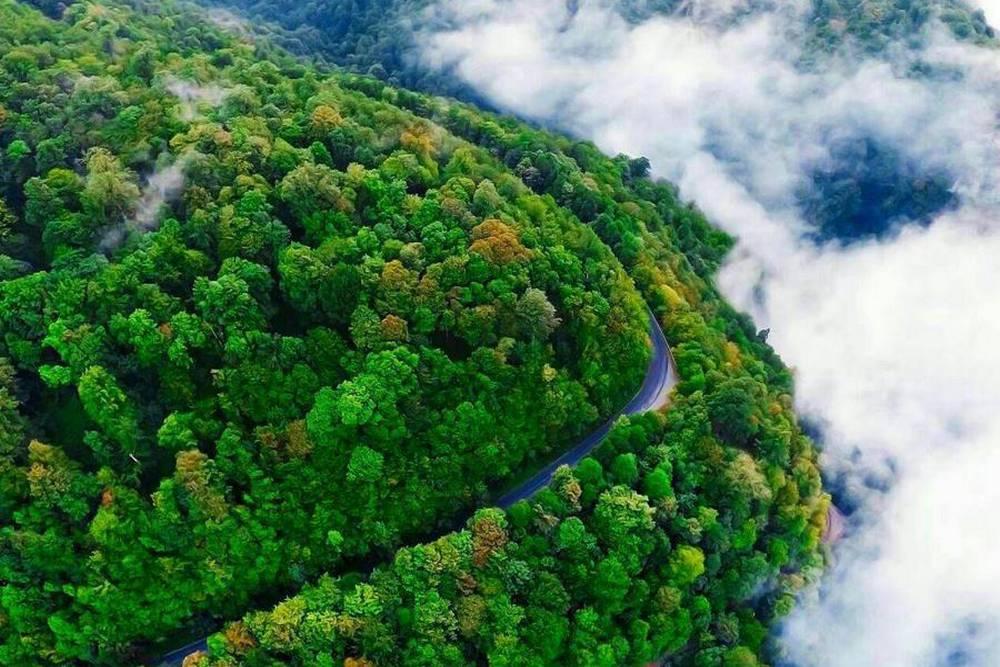 راهنمای کامل سفر به شمال ایران؛ از بهترین جاده‌ها تا جاهای دیدنی، غذا و سوغات